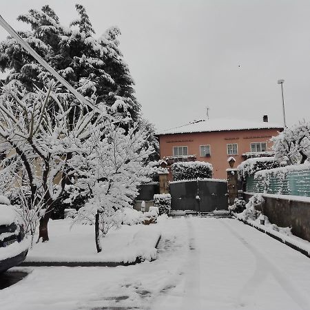 Bed and Breakfast Al Vecchio Olivo Frascati Exterior foto