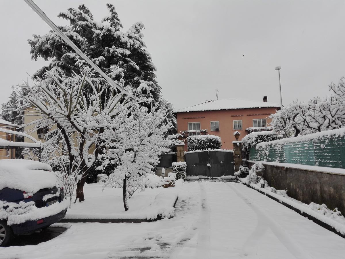 Bed and Breakfast Al Vecchio Olivo Frascati Exterior foto