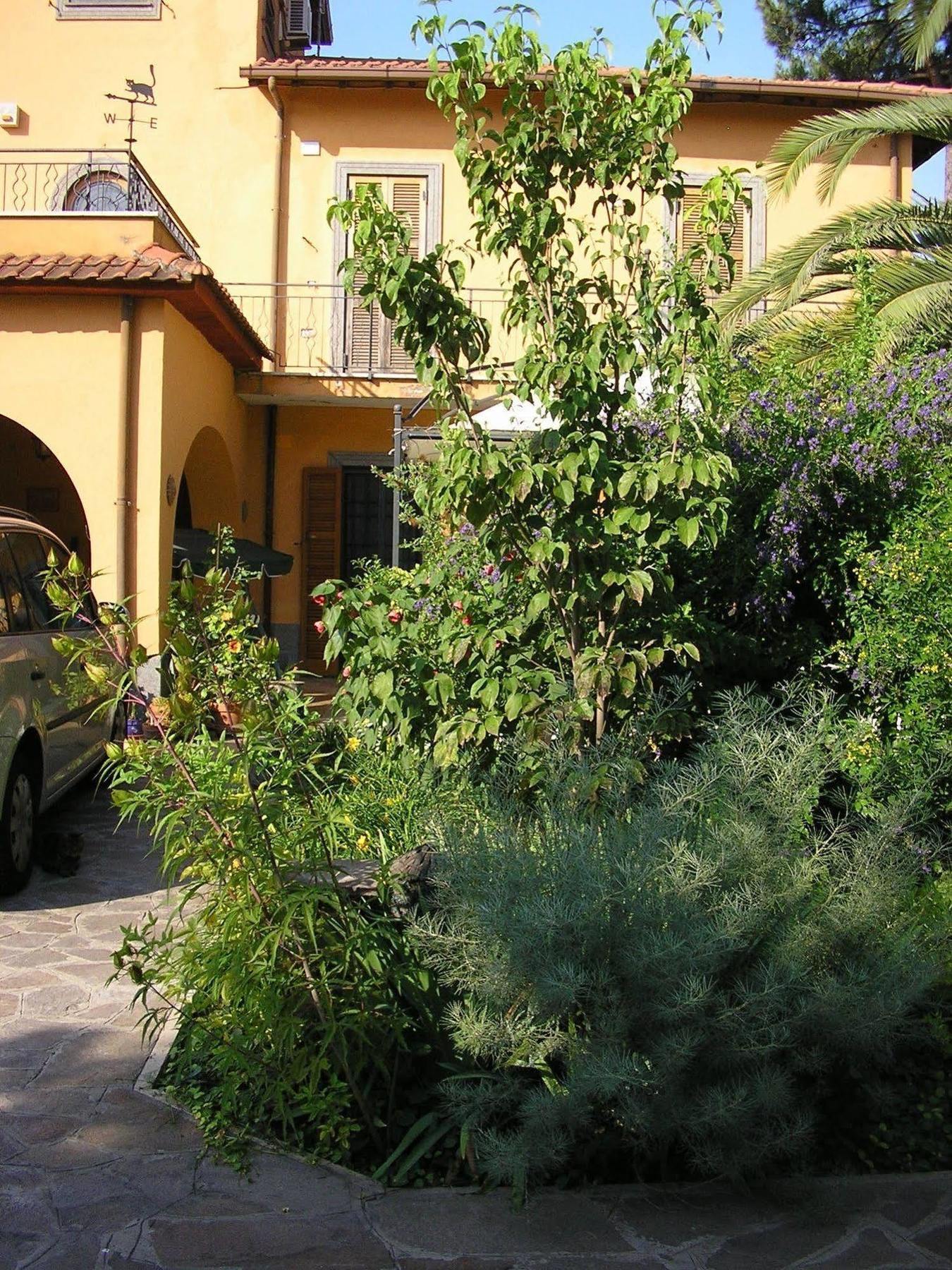 Bed and Breakfast Al Vecchio Olivo Frascati Exterior foto