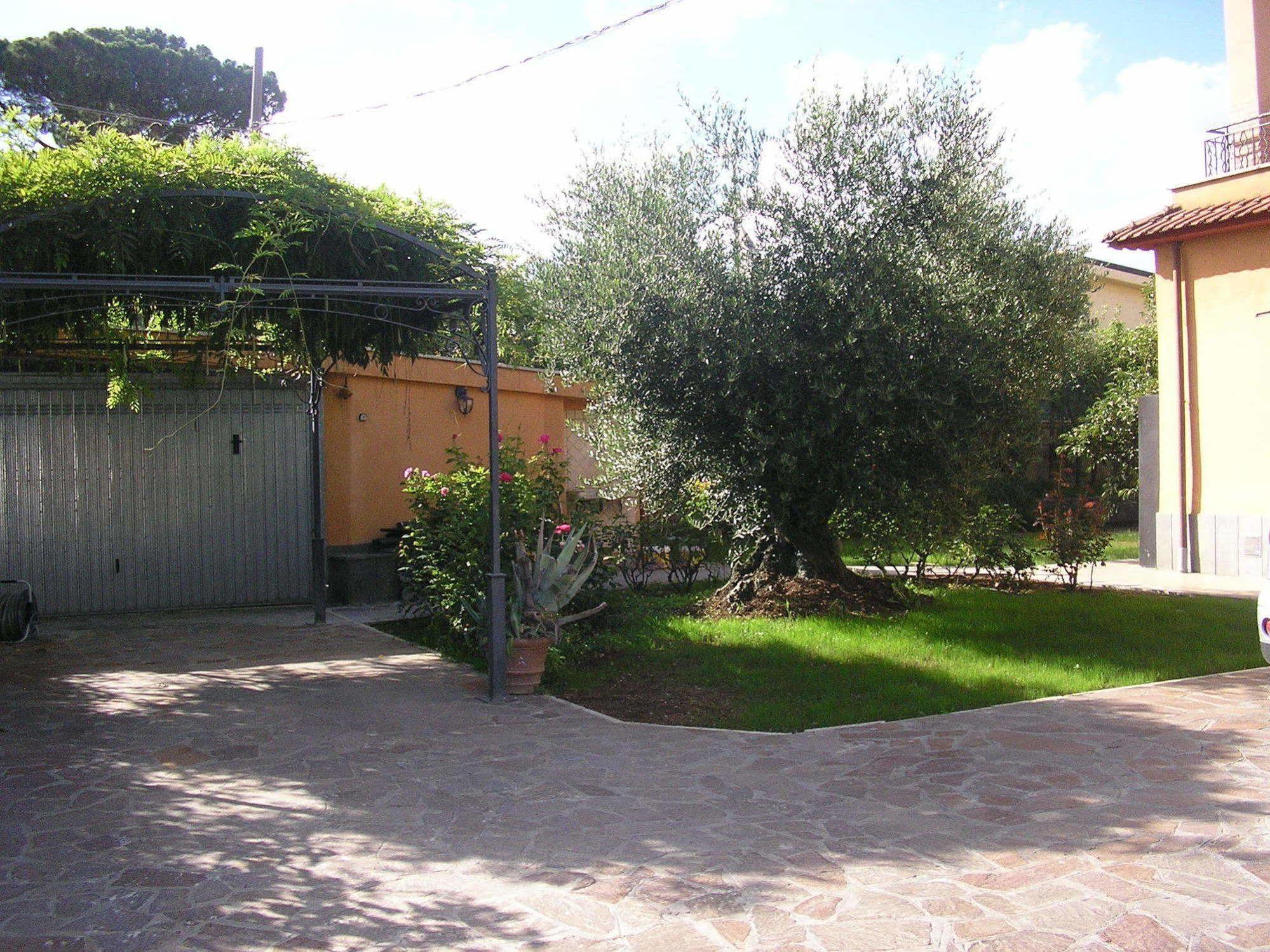 Bed and Breakfast Al Vecchio Olivo Frascati Exterior foto